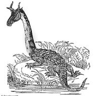 The traditional form