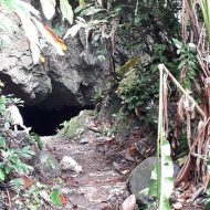 Alleged home