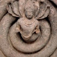Vasuki