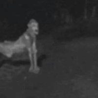 Mythlok - Skinwalker video